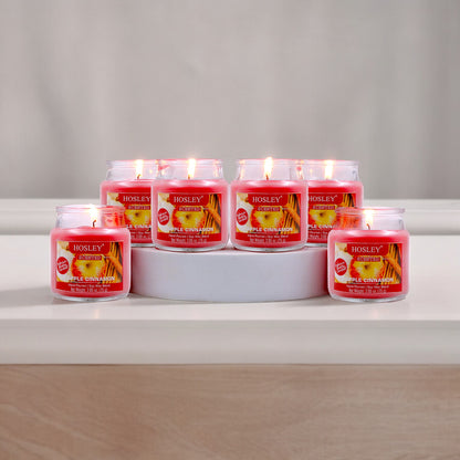 Hosley® Apple Cinnamon Jar Candles - Set of 6