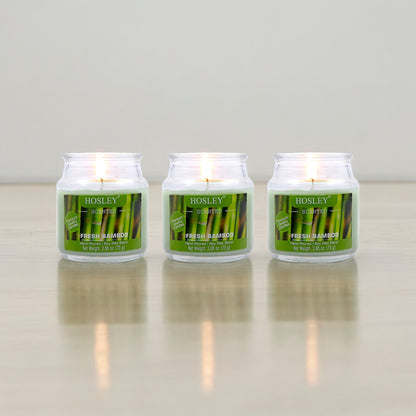 Set of 3 Hosley® Fresh Bamboo  Highly Fragranced Jar Candles, 2.65 Oz wax each