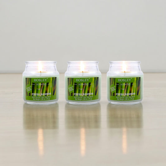 Hosley Fresh Bamboo Fragranced Jar Candles – Set of 3, 2.65 Oz Each