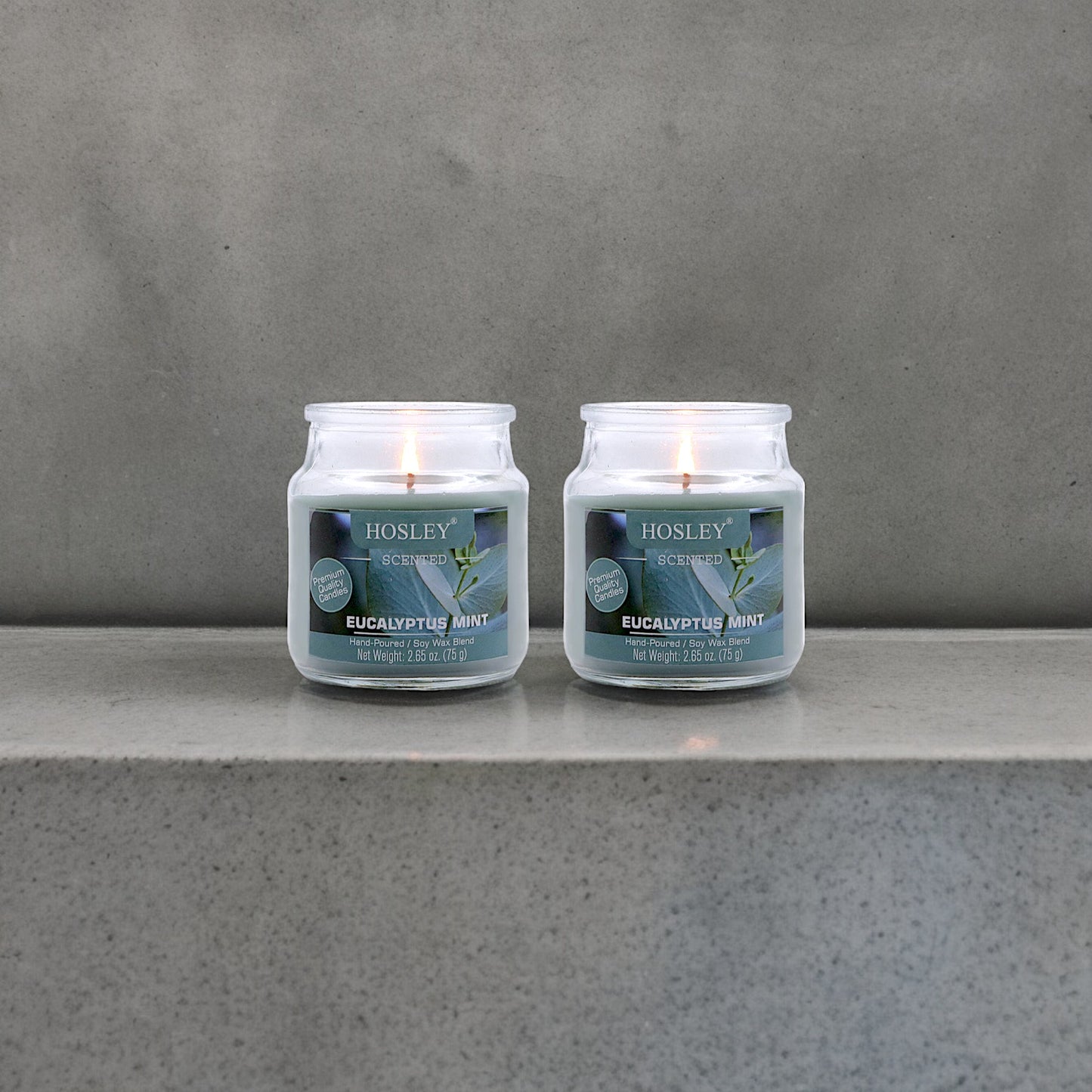 Hosley Set of 2 Eucalyptus Mint 2.65 Oz (75g)