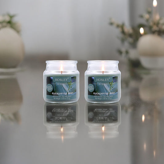 Hosley Set of 2 Eucalyptus Mint 2.65 Oz (75g)