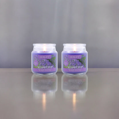 Hosley Set of 2 Lavender Fields 2.65 Oz (75g)