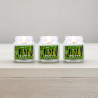 Set of 3 Hosley® Fresh Bamboo  Highly Fragranced Jar Candles, 2.65 Oz wax each