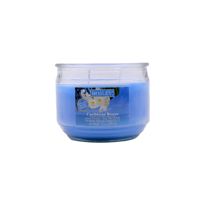 Hosley® Caribbean Breeze Highly Fragranced, 2 Wick, 10 Oz wax, Jar Candle