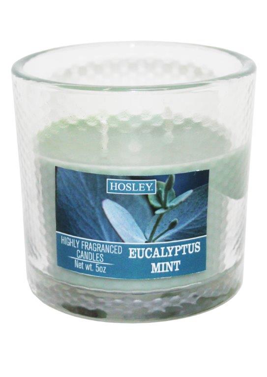 Hosley 2 Wick Eucalyptus Mint  Fragrance Glass Candle for Home Décoration / Festive/ Wedding/ Party / Birthday