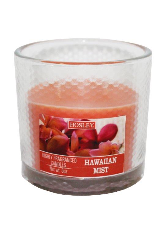 Hosley 2 Wick Hawaiin Mist Fragrance Glass Candle for Home Décoration / Festive/ Wedding/ Party / Birthday