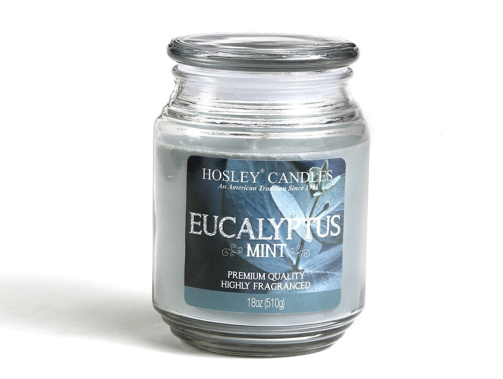 Hosley® Eucalyptus Mint Highly Fragranced, 18 Oz wax, Large Jar Candle