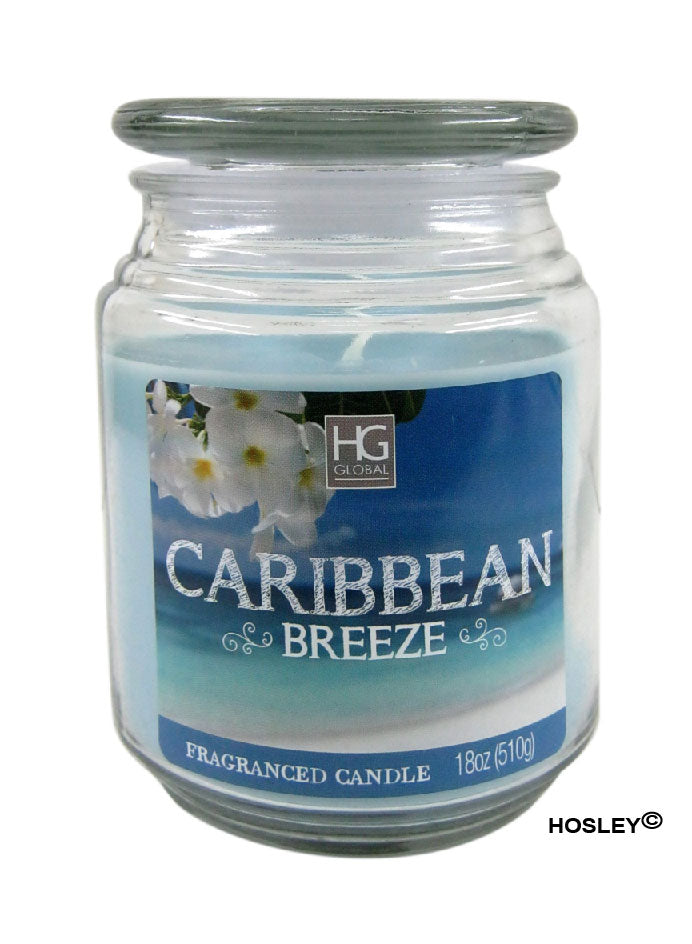 Hosley® Caribbean Breeze Highly Fragranced, 18 Oz wax, Large Jar Candle