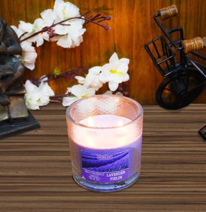 Hosley 2 Wick Lavender Field Fragrance Glass Candle for Home Décoration / Festive/ Wedding/ Party / Birthday