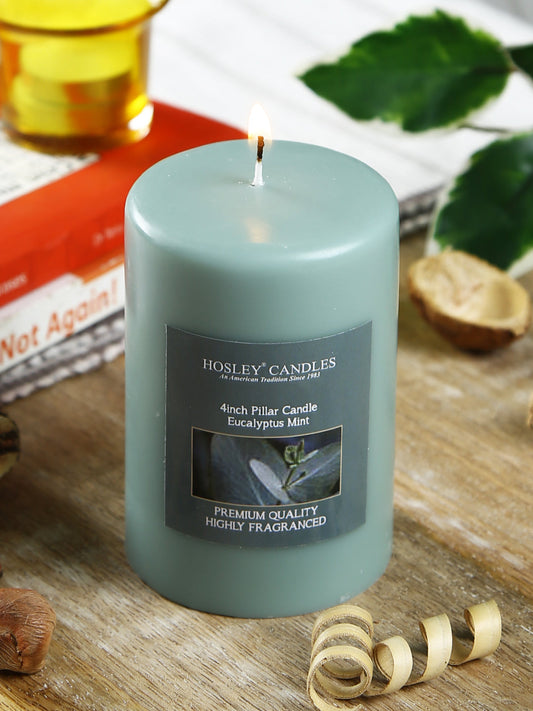 Hosley® Eucalyptus Mint Highly Fragranced 4inch Pillar Candle