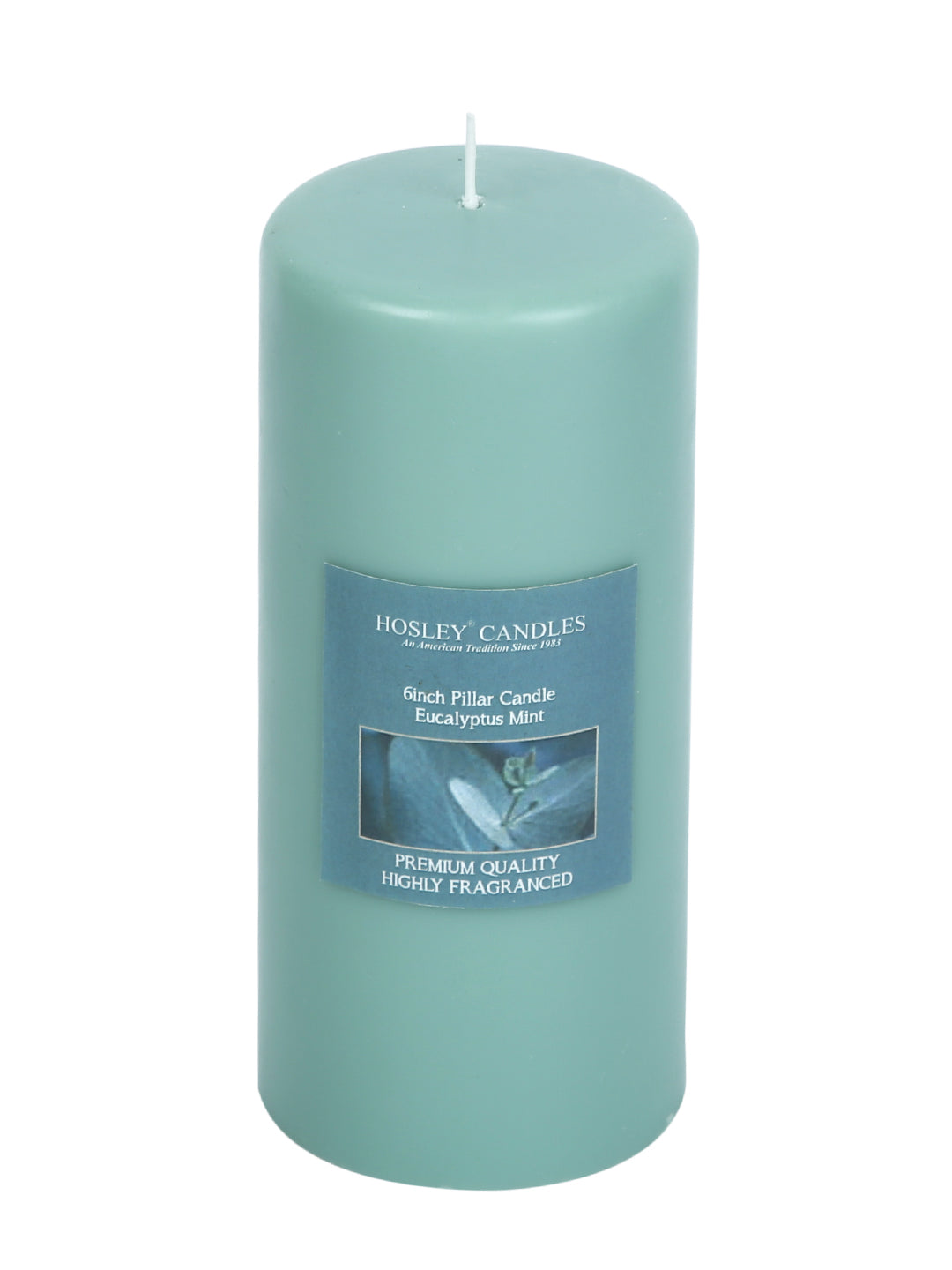 Hosley® Eucalyptus Mint Highly Fragranced 6inch Pillar Candle
