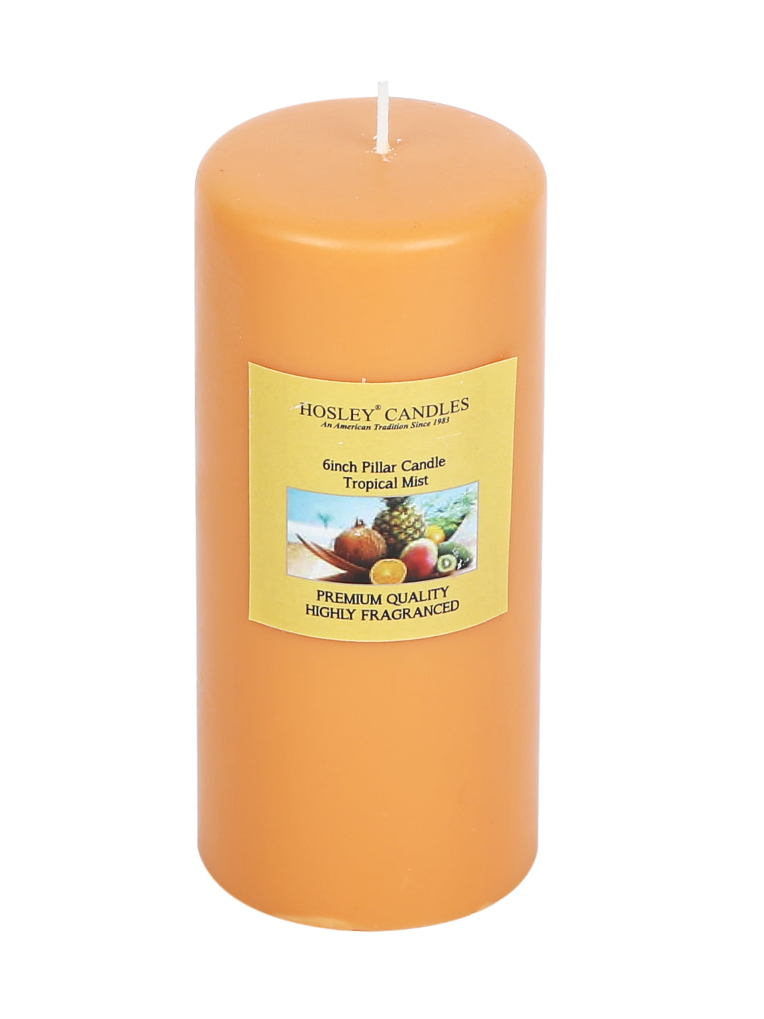Hosley® Tropical Mist Highly Fragranced 6inch Pillar Candle