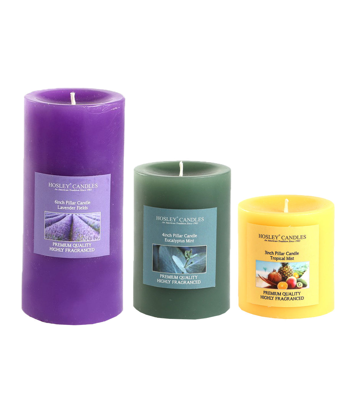 Hosley Set 3 Decorative Multicolor Highly fragranced Pillar Candle| Lavender | Eucalyptus mint| Tropical Mist