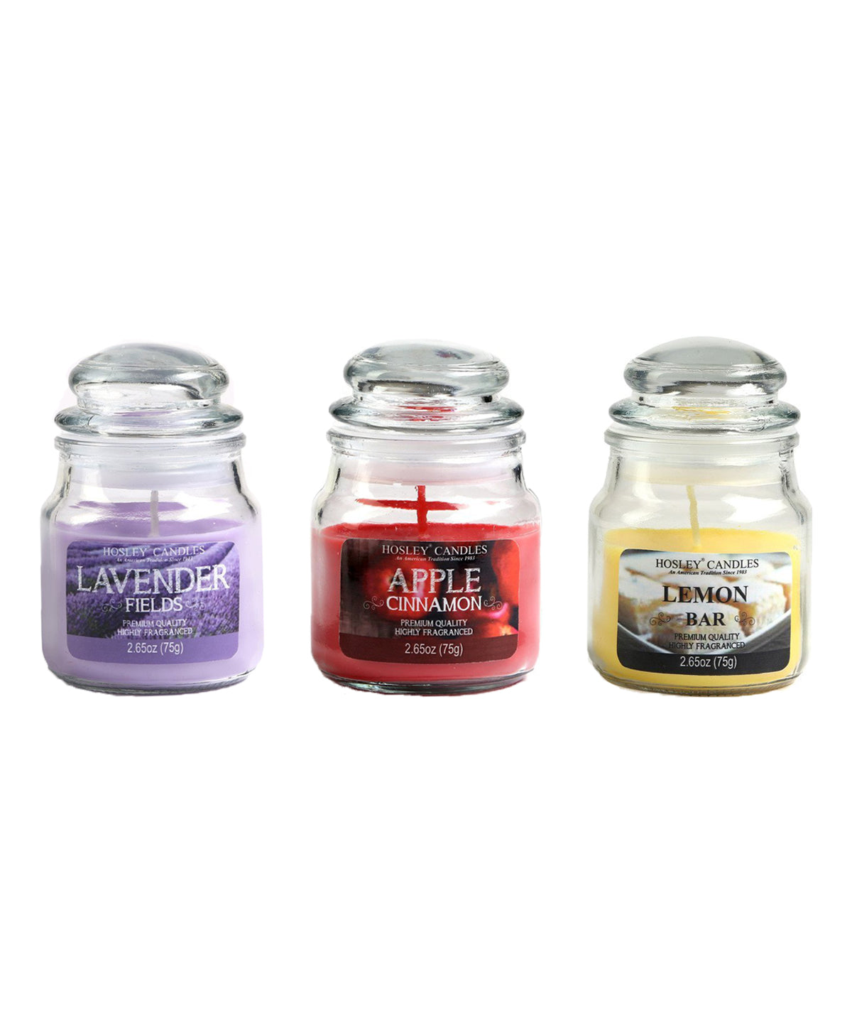 Hosley Set 3 Multicolor highly fragranced Jar Candle for Decoration/ Festive|Lavender| Apple Cinnamon| Lemon Bar