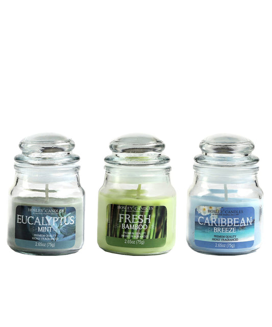 Hosley Set 3 Multicolor highly fragranced Jar Candle for Decoration/ Festive|Eucalyptus mint| Fress Bamboo| Caribbean Breeze