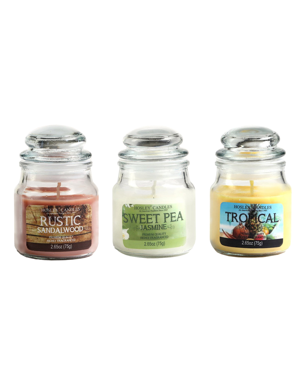 Hosley Set 3 Multicolor highly fragranced Jar Candle for Decoration/ Festive|Rustic Sandlewood| Jasmine| Tropical Mist