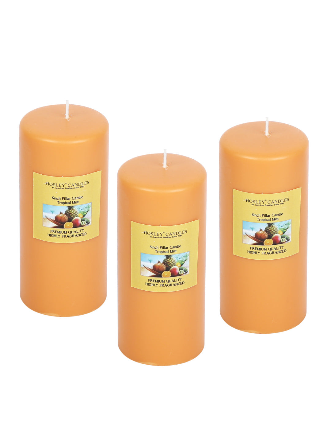 Hosley Set of 3 Tropical Mist 6Inchs Pillar Candles