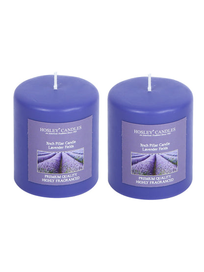 Hosley Set of 2 Lavender Fields 3Inchs Pillar Candles