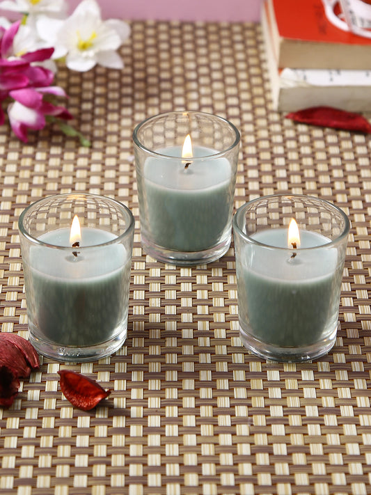 Set of 3 Hosley® Highly Fragranced Eucalyptus Mint Filled Glass Candles, 1.6 Oz wax each
