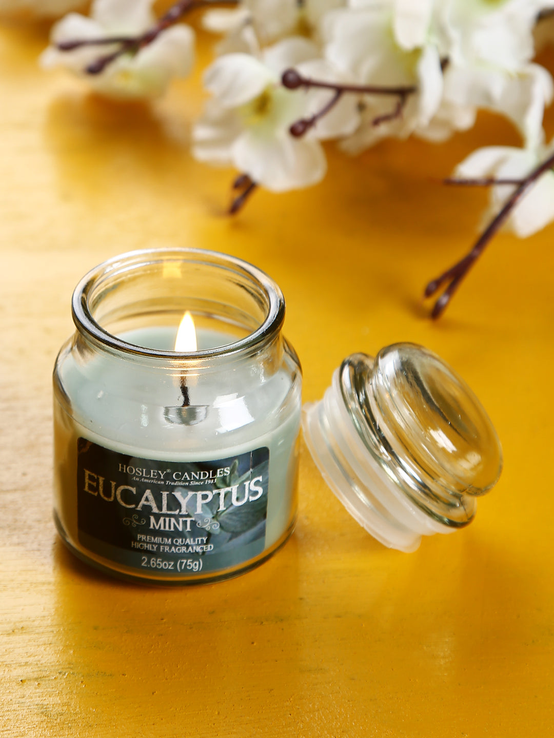 Hosley® Eucalyptus Mint Highly Fragranced, 2.65 Oz wax, Jar Candle