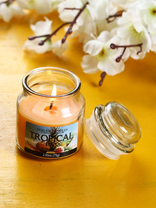 Hosley® Tropical Mist Highly Fragranced, 2.65 Oz wax, Jar Candle
