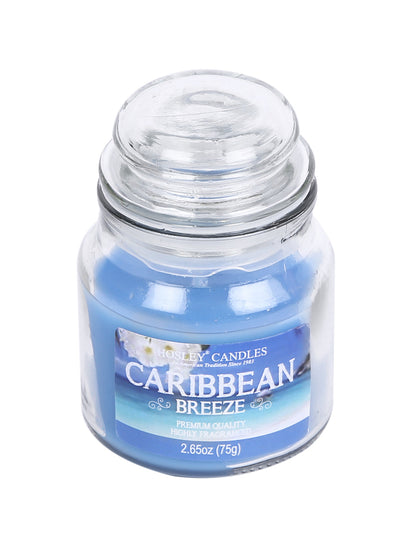Hosley® Caribbean Breeze Highly Fragranced, 2.65 Oz wax, Jar Candle