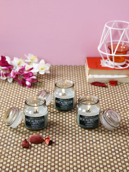 Set of 3 Hosley® Eucalyptus Mint Highly Fragranced Jar Candles, 2.65 Oz wax each