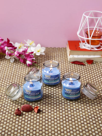 Set of 3 Hosley® Caribbean Breeze  Highly Fragranced Jar Candles, 2.65 Oz wax each
