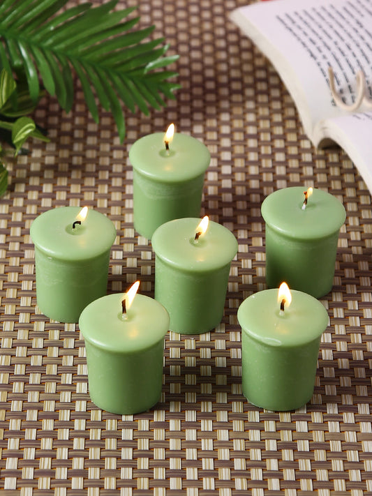 Set of 6 Hosley® 15 Hour Burn Time Each, Fresh Bamboo Highly Fragranced  Votive Candles