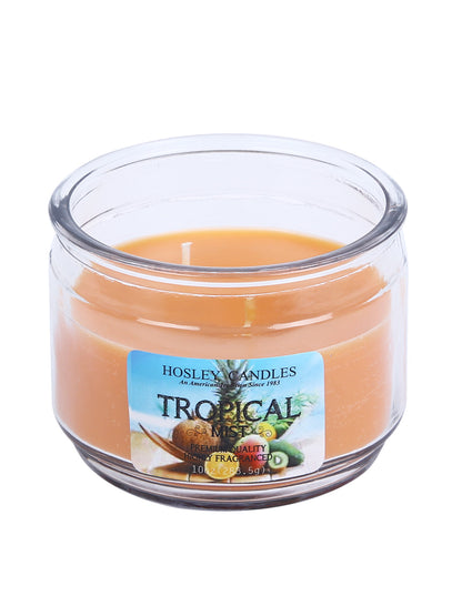 Hosley® Tropical Mist, Highly Fragranced, 2 Wick, 10 Oz wax, Jar Candle